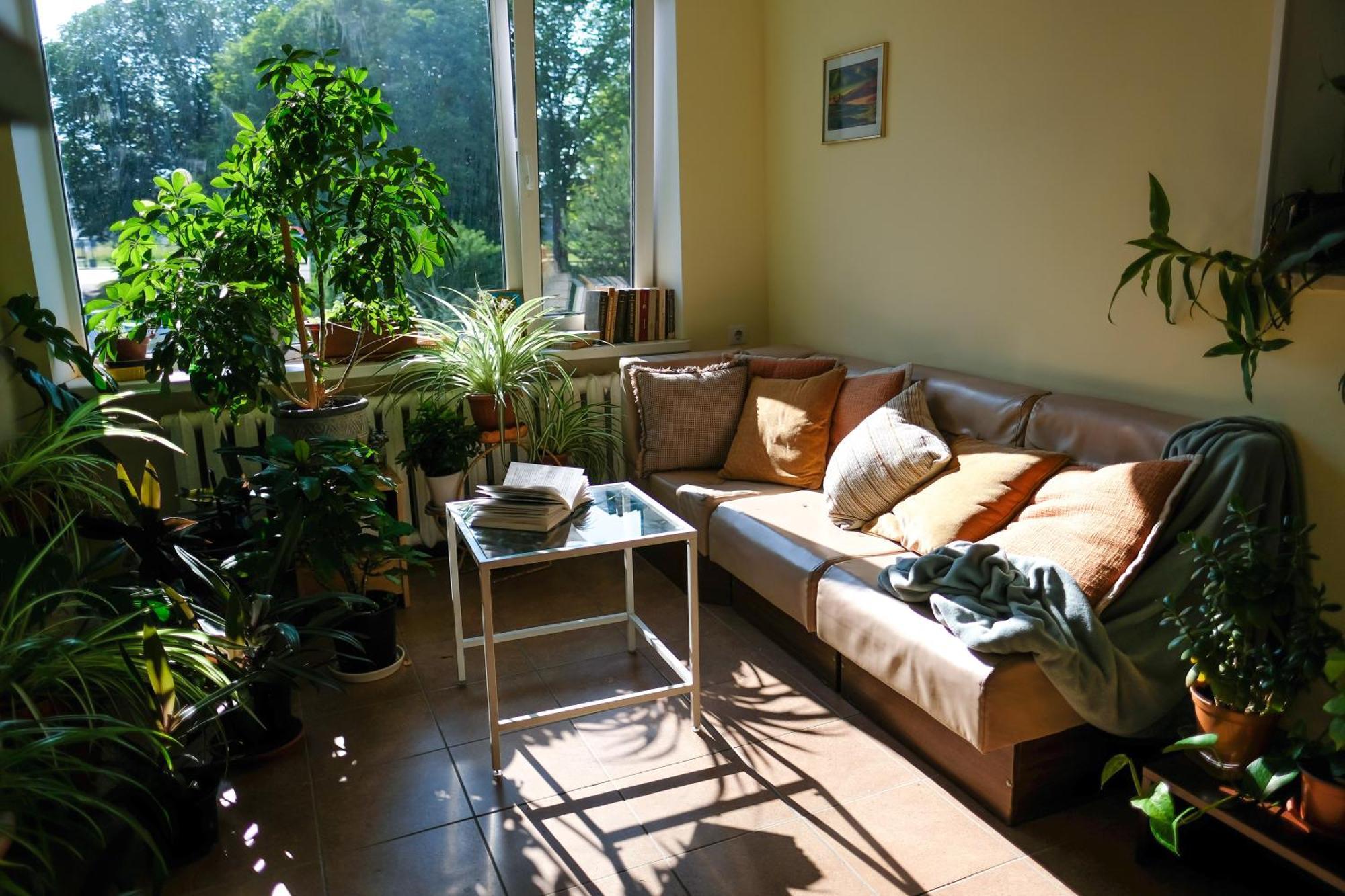 Hostel Nele Jõhvi Exteriör bild